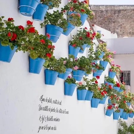 Jardines Del Mar ,casa Apolonia Appartement *